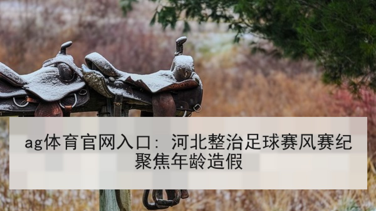 ag体育官网入口: 河北整治足球赛风赛纪聚焦年龄造假