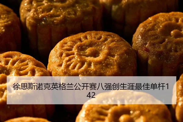 xu-si-si-nuo-ke-ying-ge-lan-gong-kai-sai-ba-qiang-chuang-sheng-ya-zui-jia-dan-gan-2-532.jpg