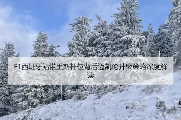 xi-ban-ya-zhan-nuo-li-si-gan-wei-bei-hou-mai-kai-lun-sheng-ji-ce-lve-shen-du-jie-du-3-353.jpg