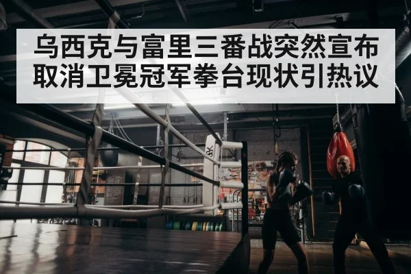 boxer training